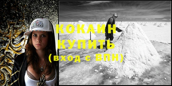 дживик Бронницы