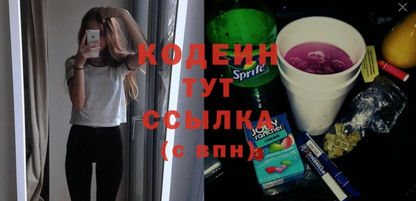 дживик Бронницы