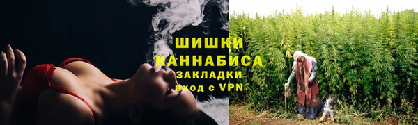 индика Бугульма