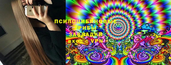 дживик Бронницы