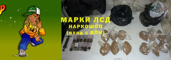 дживик Бородино