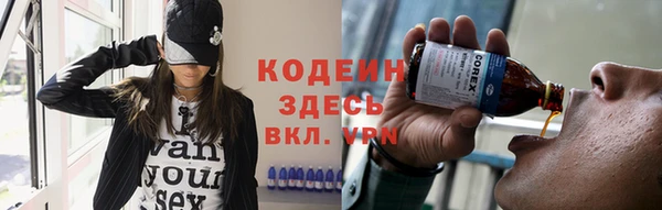 дживик Бородино