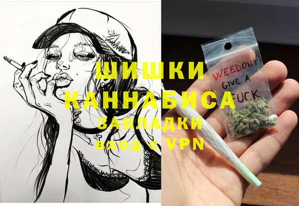 индика Бугульма