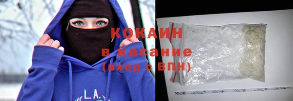 дживик Бронницы