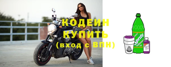 дживик Бородино