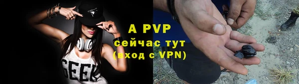 дживик Бронницы