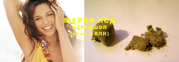 индика Бугульма