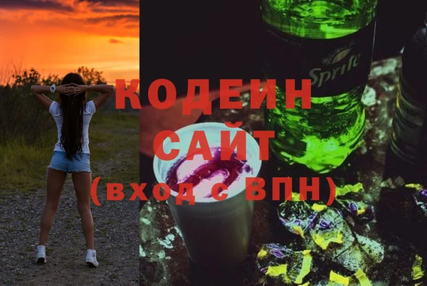 дживик Бородино