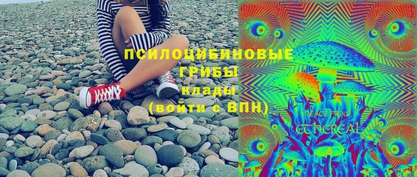 дживик Бородино