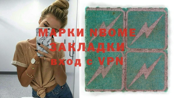 дживик Бородино