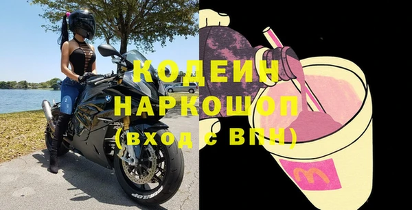 дживик Бородино
