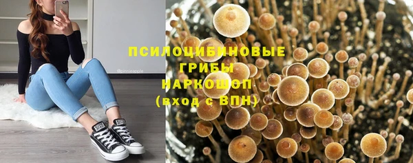 дживик Бородино