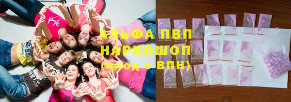 дживик Бородино