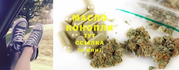 дживик Бородино