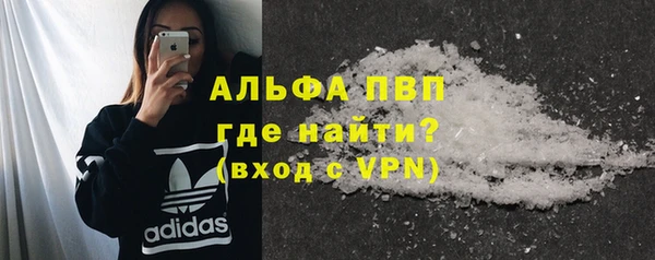 индика Бугульма