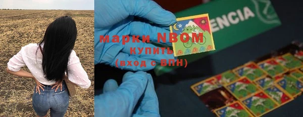 индика Бугульма