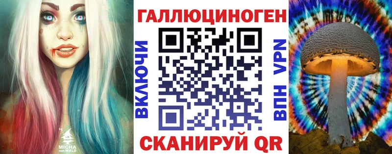 Купить закладки  Новодвинск  Галлюциногенные грибы Psilocybe 